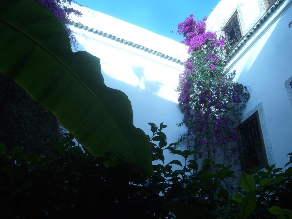Riad Jenai L'Authentique Marrakesh Exterior foto
